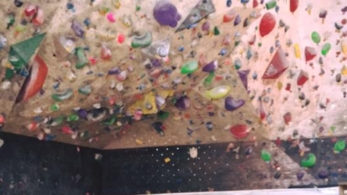 京都府のクライミング施設「noah climbing & community」
